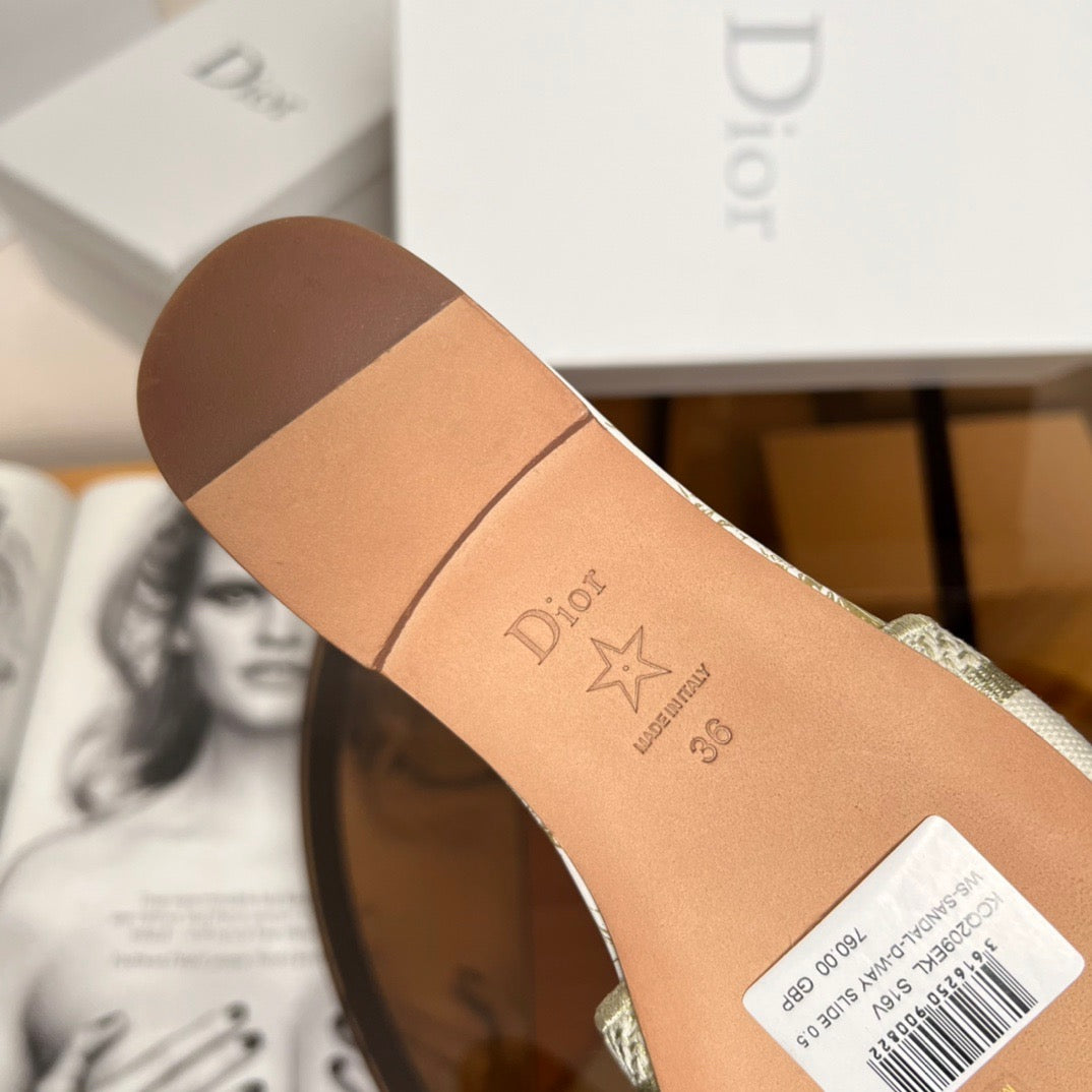 Dior Shoes? Dior Dway Slides Premium Designer Casual Shoes