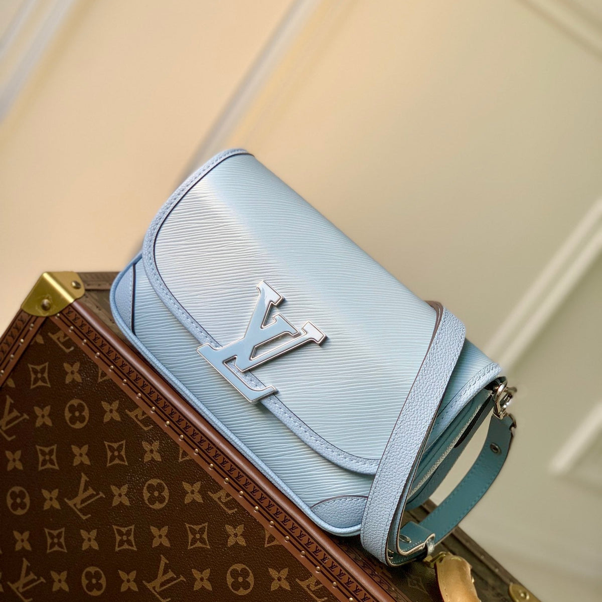 Louis Vuitton Wallets? Louis Vuitton Lou Buci Bag Elegant Everyday Leather Wallet