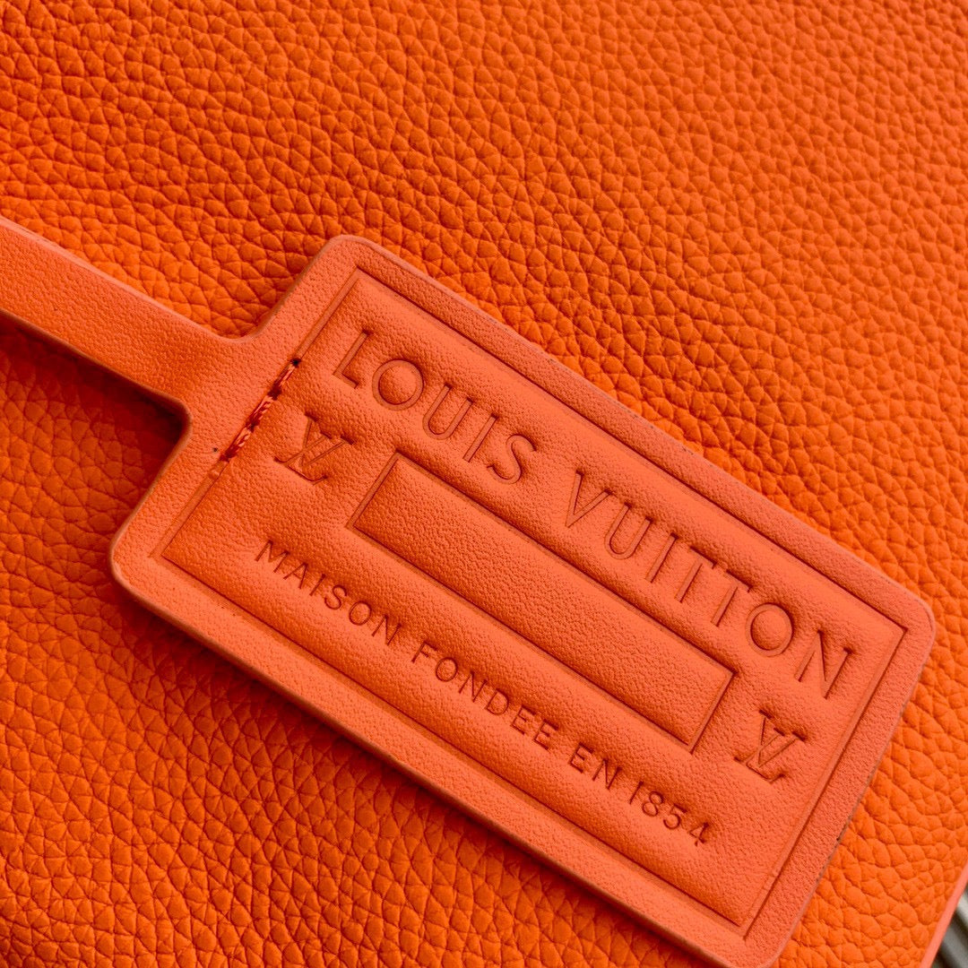 Louis Vuitton Bags? Louis Vuitton Lou Takeoff Pouch Elegant Everyday Designer Handbag