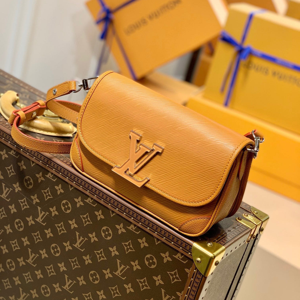 Louis Vuitton Wallets? Louis Vuitton Lou Buci Bag Elegant Everyday Leather Wallet