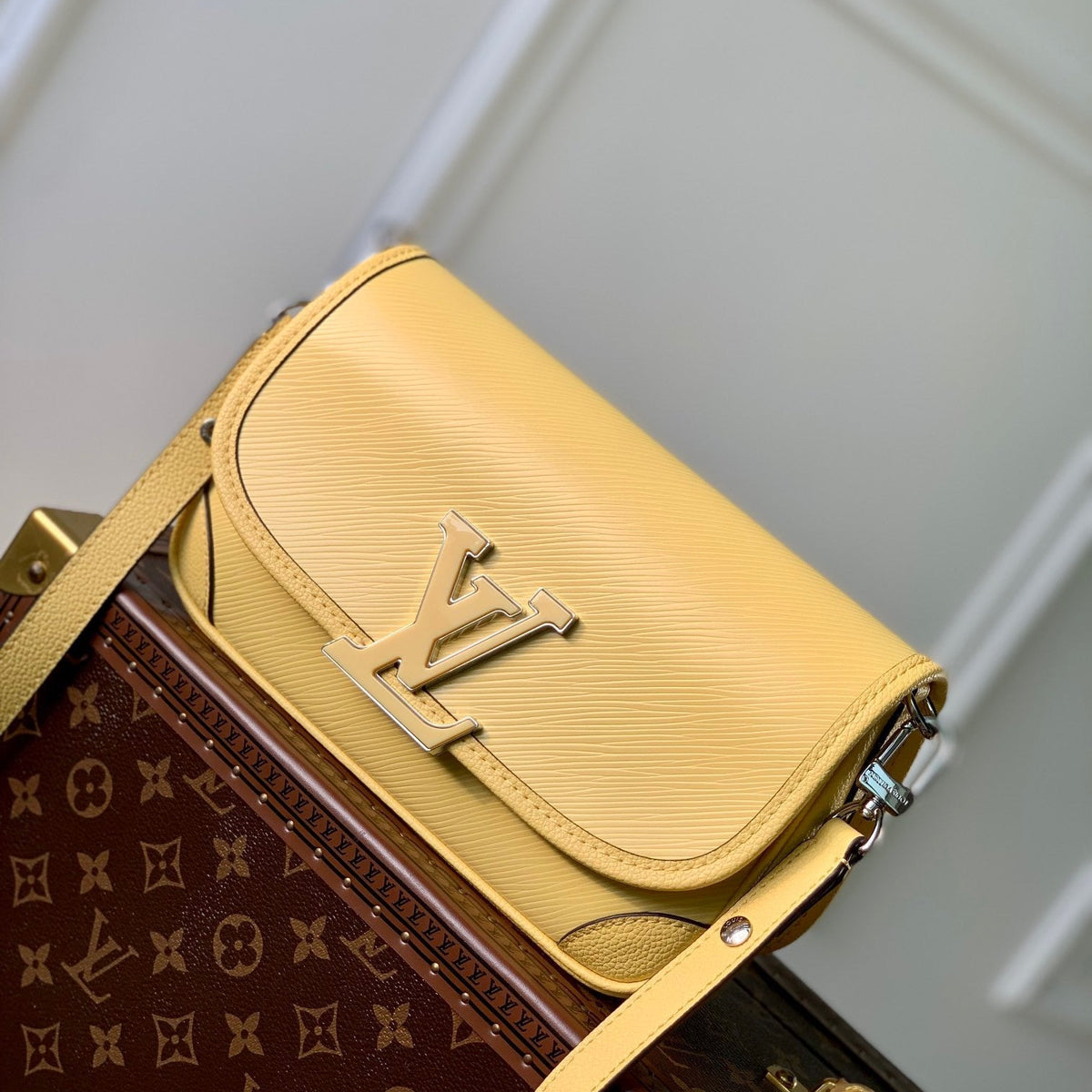 Louis Vuitton Wallets? Louis Vuitton Lou Buci Bag Elegant Everyday Leather Wallet