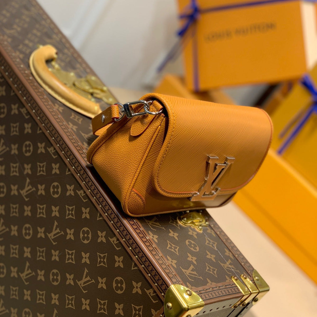 Louis Vuitton Wallets? Louis Vuitton Lou Buci Bag Elegant Everyday Leather Wallet