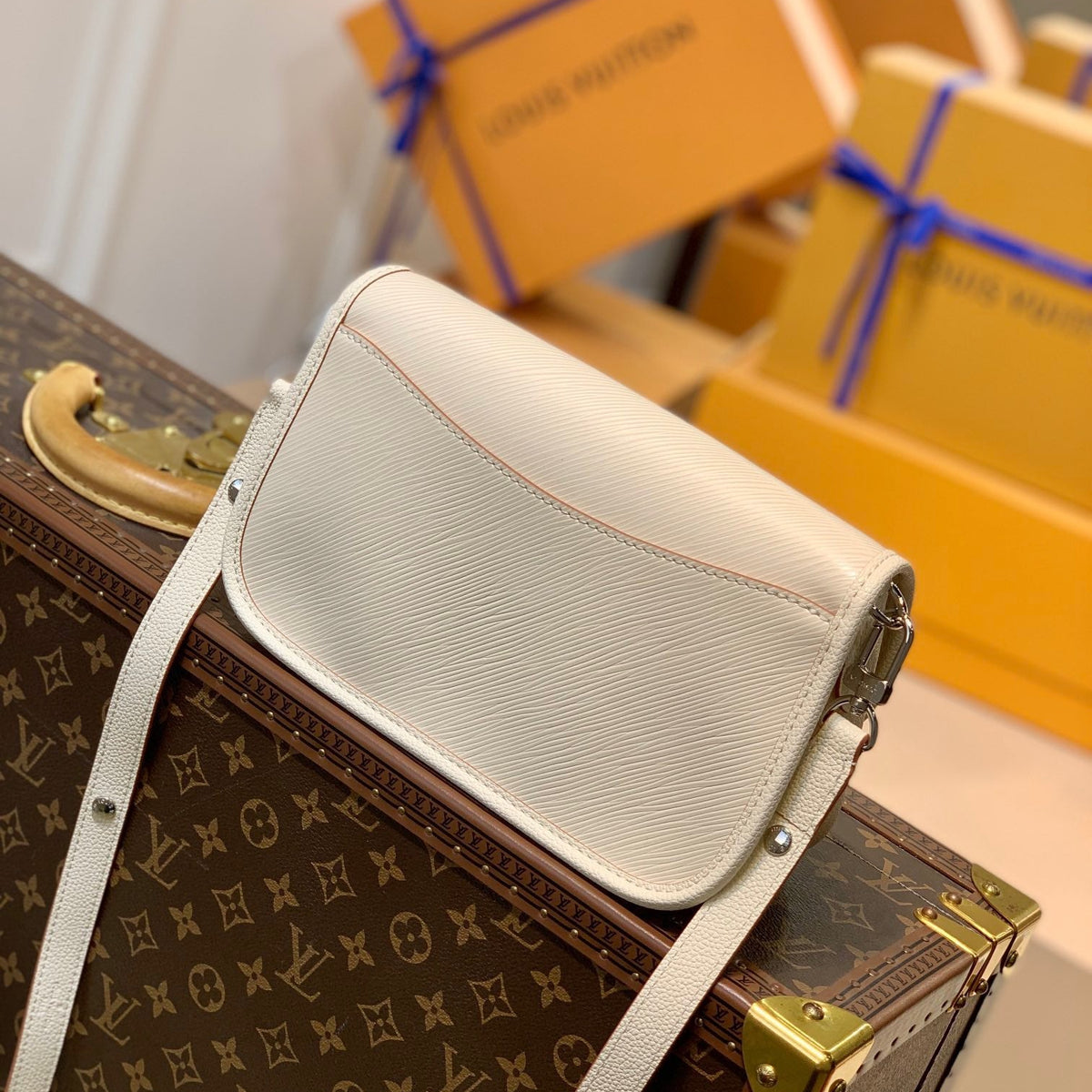 Louis Vuitton Wallets? Louis Vuitton Lou Buci Bag Elegant Everyday Leather Wallet