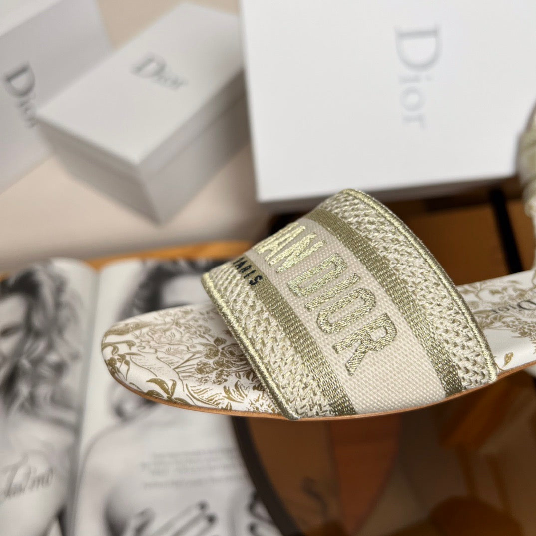 Dior Shoes? Dior Dway Slides Premium Designer Casual Shoes
