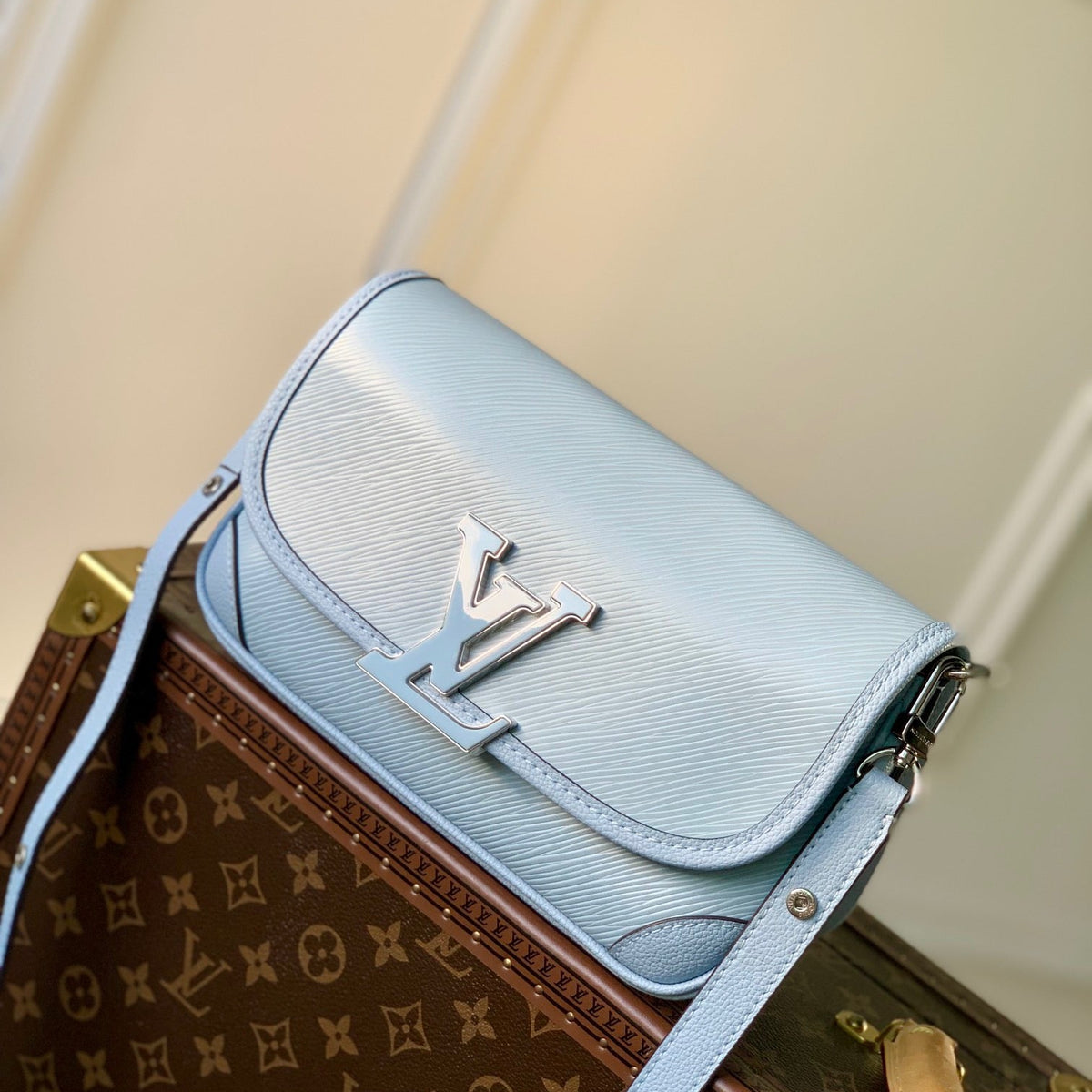 Louis Vuitton Wallets? Louis Vuitton Lou Buci Bag Elegant Everyday Leather Wallet