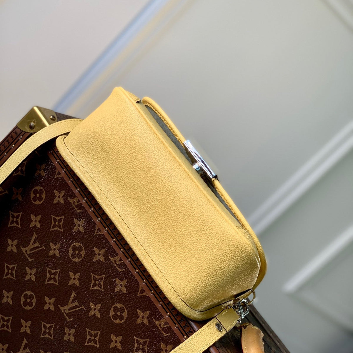 Louis Vuitton Wallets? Louis Vuitton Lou Buci Bag Elegant Everyday Leather Wallet