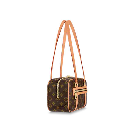 Louis Vuitton Accessories? Louis Vuitton Cité M46321 Premium Everyday Designer Accessory