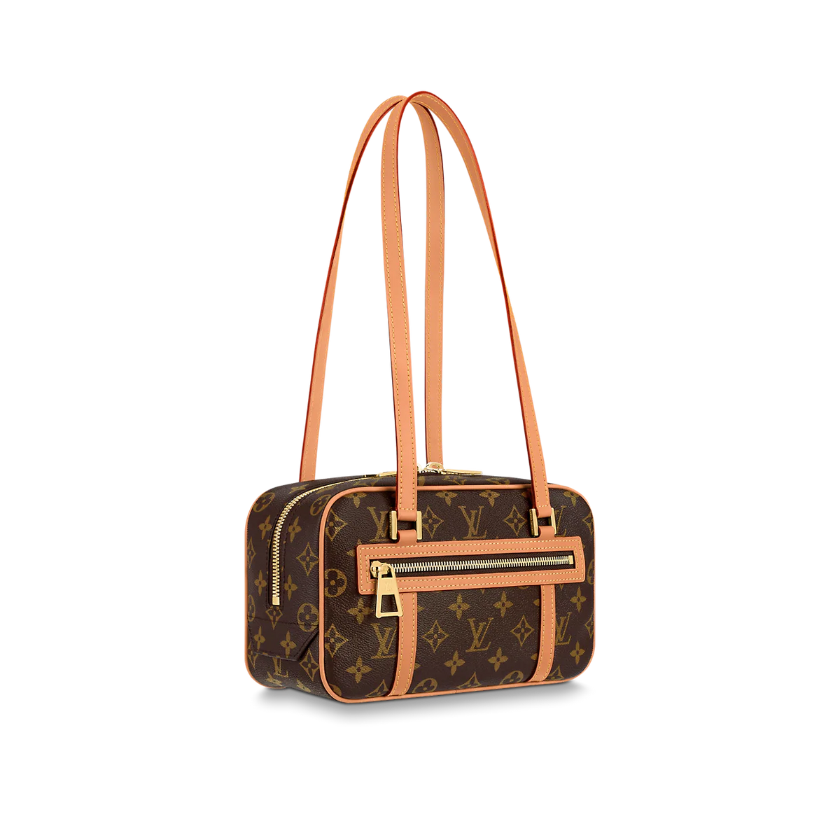 Louis Vuitton Accessories? Louis Vuitton Cité M46321 Premium Everyday Designer Accessory