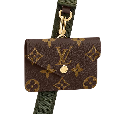 Louis Vuitton Bags? Louis Vuitton Félicie Strap & Go Monogram In Brown Premium Designer Shoulder Bag