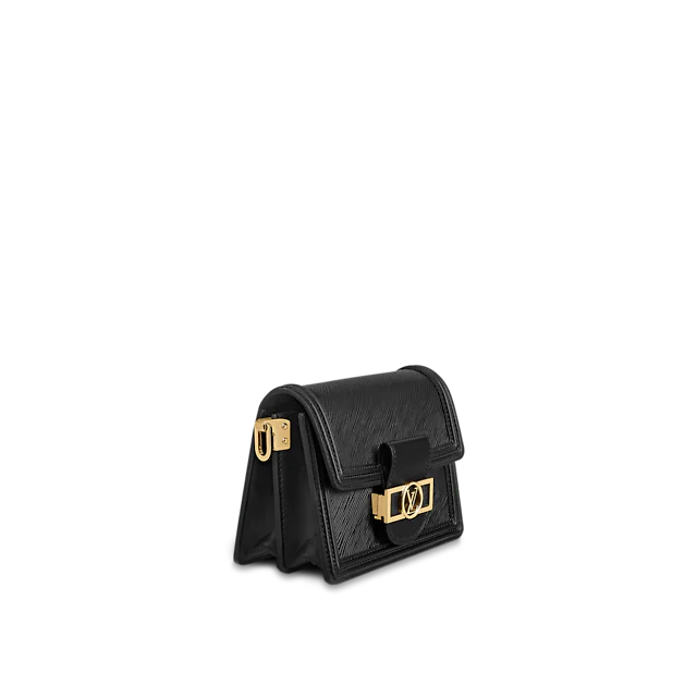 Louis Vuitton Accessories? Louis Vuitton Mini Dauphine Black Luxury Designer Fashion Accessory