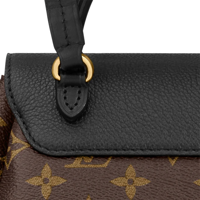 Louis Vuitton Bags? Louis Vuitton Montsouris PM Premium Designer Shoulder Bag