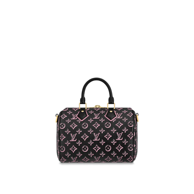 Louis Vuitton Accessories? Louis Vuitton Speedy BANDOULIÈRE 25 Luxury Designer Fashion Accessory