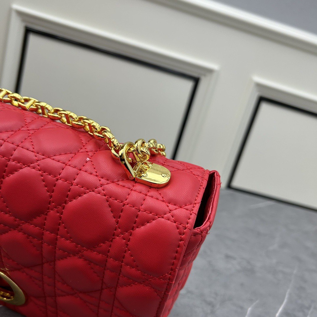 Shelly Mason Dir Caro Bag – luxury designer bag at Velouxe