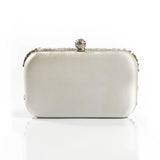 Front view of Shelly Mason Evening Clutch Bag premium bag