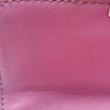 Close-up of Mini bags hardware and fine stitching